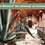 Dolina Młodości