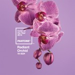 Rok koloru Orchidei