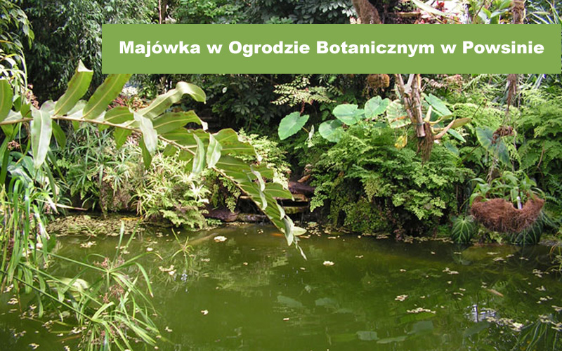 Ogrod Botaniczny w Powsinie