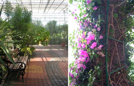 Ogród_Botaniczny_3