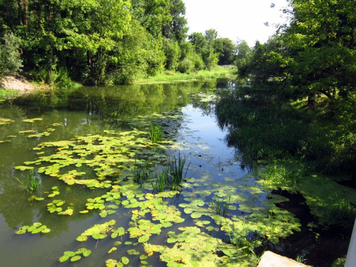 Świder rzeka